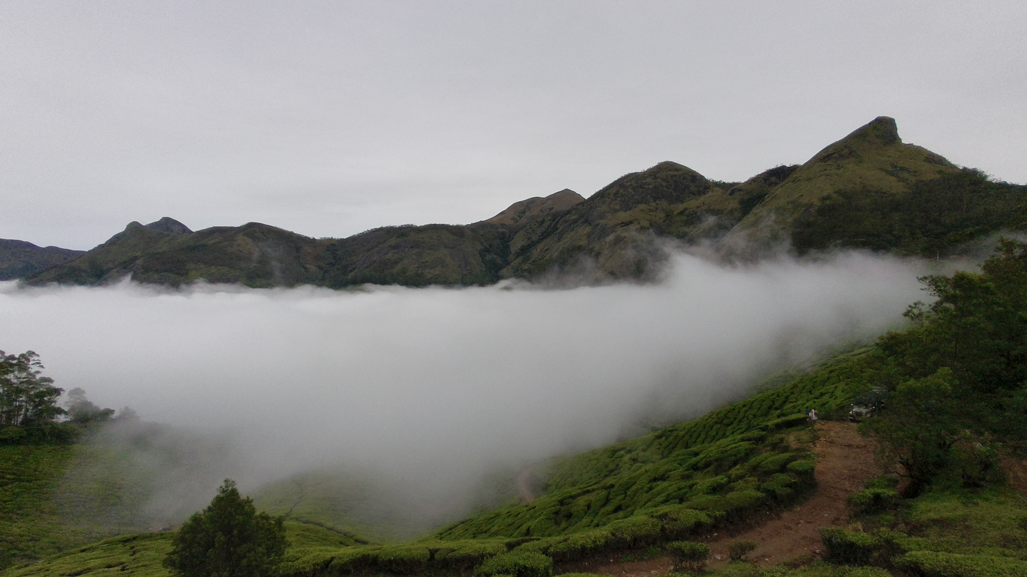 Kolukkumalai clouds rolling over green tea estates with hill slopes
